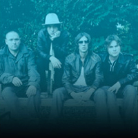 the verve